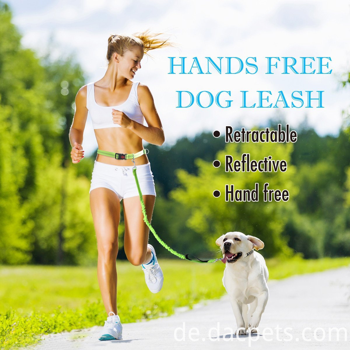 Freihändige reflektierende Hundeleine Hands-Free Reflective Dog Leash